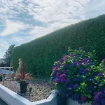 Ivy Lane