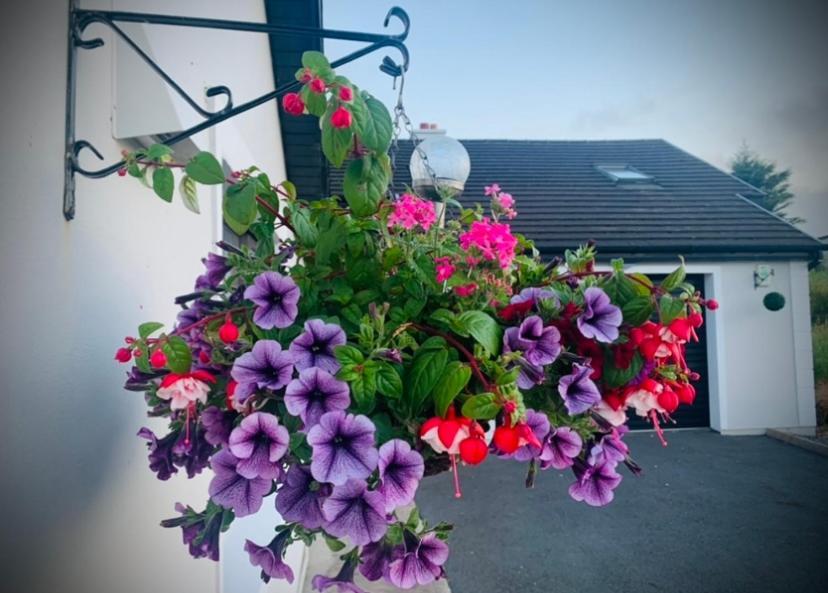 Ivy Lane Holiday home *