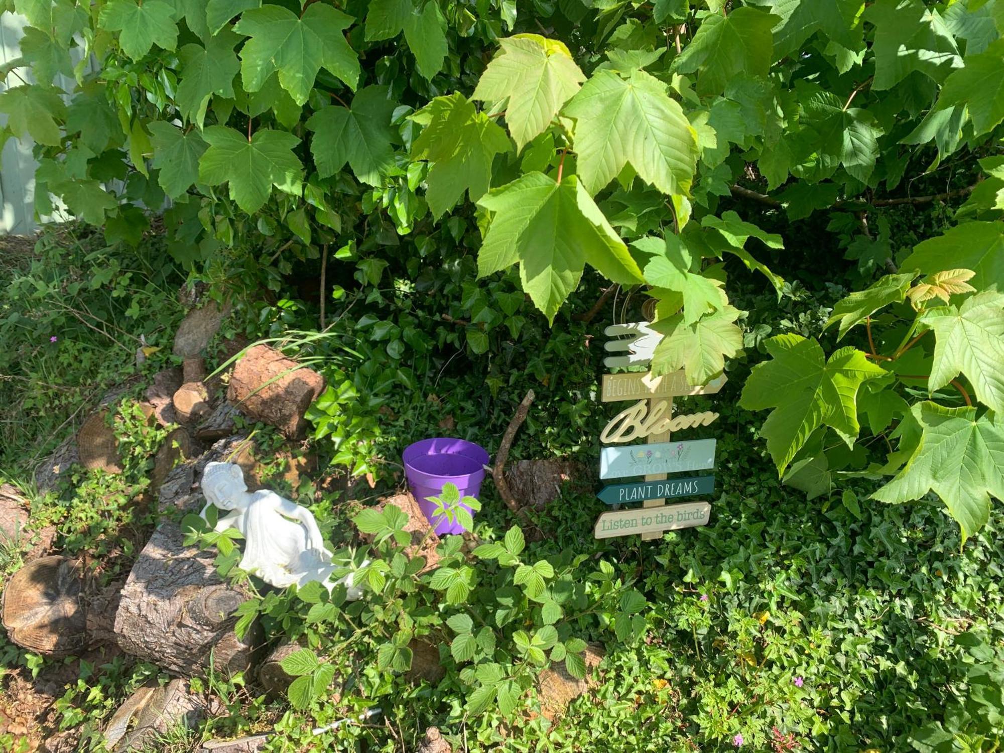 Ivy Lane Holiday home