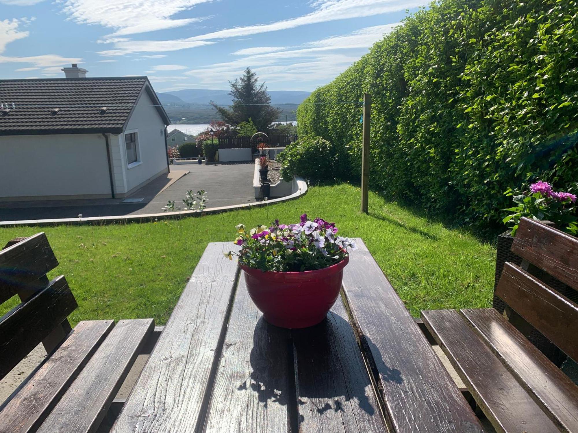 Ivy Lane * Loughanure